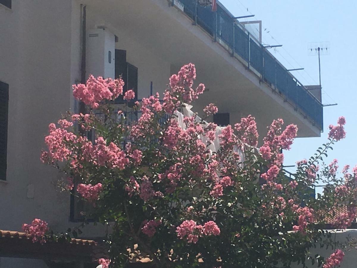 Coastal Cliff, Amalfi Apartment Pianillo Екстериор снимка